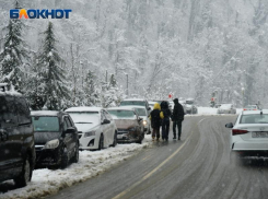 Сильнейший снегопад в Сочи привел к задержке следующих в Волгодонск поездов