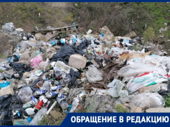 Мусор вывозят грузовиками на огромную несанкционированную свалку в районе баз отдыха в Волгодонске