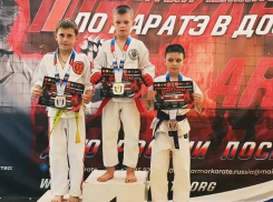 Юные волгодонцы завоевали путевки на Чемпионат мира по каратэ
