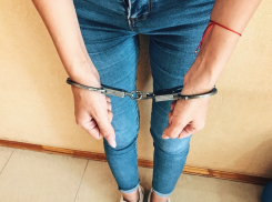 Многодетная мать из Мартыновки растратила материнский капитал своих детей