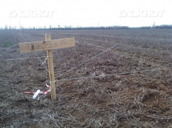 Многодетным семьям из Волгодонска продолжают выдавать землю в районе бывшего мясокомбината