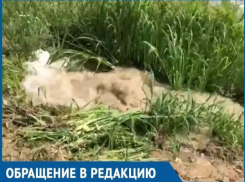 Администрация и «Водоканал» смеются людям в лицо, - волгодонцы о коммунальном «фонтане» на проспекте Мира