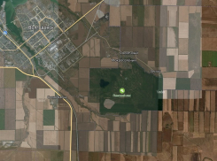 Минприроды начало проверку вырубки Панского леса за промзоной «Атоммаша» 