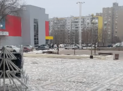 Кражу елочных шариков с городской елки на Курчатова запечатлели на камеру