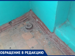 «Старики убирают подъезды из-за бездействия УК «Чайка-Дон» на 50 лет СССР: крик души волгодонцев