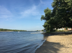 До +29 градусов прогреется сегодня воздух в Волгодонске