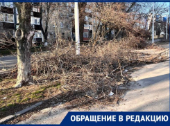 «Во что превратился наш город?»: волгодонцы жалуются на кучи веток на аллеях 