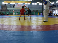 Две бронзовые медали привезли из Элисты волгодонские самбисты