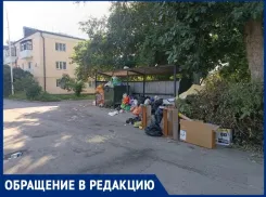 «Мусорка с горкой»: жильцы улицы Чехова бьют тревогу из-за исчезнувших контейнеров