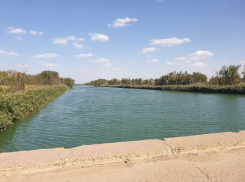 Летняя жара задержится в Волгодонске в понедельник