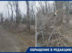 «Вы убиваете наши деревья!»: жительница МКД возмущена работой опиловщиков на Пушкина