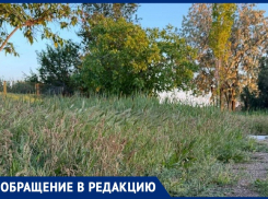 «Администрации Волгодонска плевать на нашу набережную?»: обращение недовольного жителя 