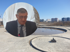 Владимир Болдырев заявил, что УФАС сняло ограничения для работы на бульваре у «Дружбы»