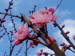 До +16 прогреется Волгодонск во вторник