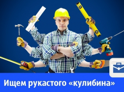  Ищем на базу отдыха рукастого «кулибина»