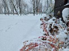 Север Ростовской области засыпало снегом: ждать ли его в Волгодонске
