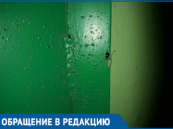 Подъезд дома №45 по проспекту Строителей стал похож на тараканью ферму, - волгодонцы