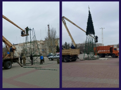 Главные новогодние елки начали устанавливать в Волгодонске