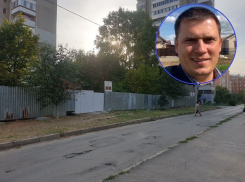 Суд подтвердил запрет на вырубку липовой рощи на улице Ленина