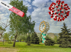 В Волгодонске в три раза выросла заболеваемость коронавирусом
