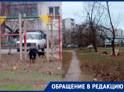 «Они неоднократно бросались на прохожих»: жители квартала В-8 устали от нападений бездомных собак
