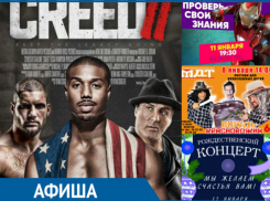 Заманчивые мастер-классы, премьеры в кинотеатрах и яркие дискотеки: что ждет волгодонцев на этой неделе
