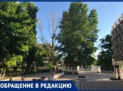 Волгодонцы просят коммунальные службы спилить сухой тополь на Энтузиастов 
