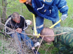 Таксист из Волгодонска приковал бомжа цепями к дереву в районе ГЭС 