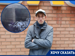О массовой гибели идущей на нерест рыбы на берегу залива рассказал житель Волгодонска