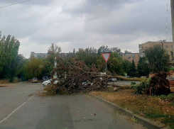 Последствия непогоды в Волгодонске ликвидируют во время месячника  чистоты