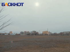 Две домашние собаки умерли от отравления после прогулки на «поле дураков»
