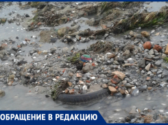 Волгодонцы бьют тревогу из-за едкого запаха на берегу Цимлянского водохранилища