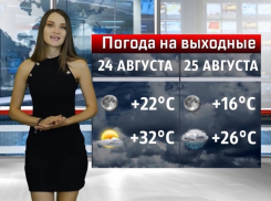 Жару в Волгодонске сменит дождь