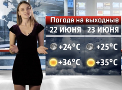 Знойные выходные ждут волгодонцев