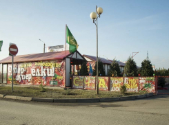 Сколько в Волгодонске будут стоить новогодние сосны и ели 