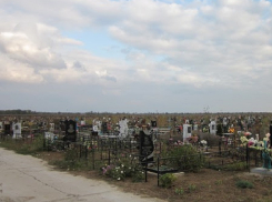 На всех кладбищах Волгодонска проведут химическую обработку