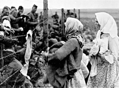 Фашисты казнили учителя из Цимлянской Семена Балина за то, что он не выдал своих учеников: забытые подвиги наших земляков на Великой Отечественной войне