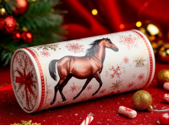 Что подарит Волгодонск на Новый год детям из малообеспеченных семей