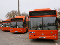 Власти Ростовской области купят новые автобусы для Волгодонска