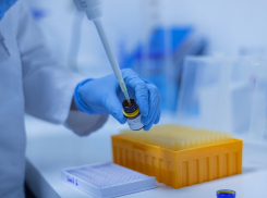 Всего у одного волгодонца подтвердили Covid-19 за сутки