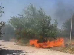 Рядом с ВЗМЭО вспыхнул еще один ландшафтный пожар