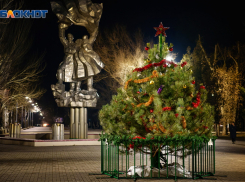 До Нового года 6 дней: снега в Волгодонске все еще нет