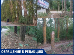 «Маршрутка №8 опять исчезла»: район улицы Рождественской оказался в транспортной блокаде