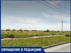 «Ждут, пока полыхнет?»: волгодончанка об огромных зарослях сухой травы на Карла Маркса 