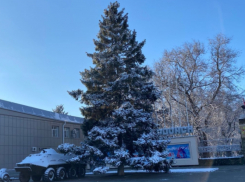 На площади Победы в Волгодонске вместо искусственной украсят живую ель