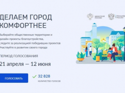 Более 30 тысяч дончан поддержали проекты благоустройства за первые два дня голосования