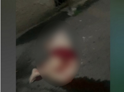 Труп пожилой женщины обнаружили волгодонцы под окнами МКД 