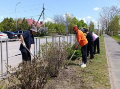 В Волгодонском районе полным ходом идут субботники