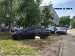 За нескошенную траву и стоянку на газонах волгодонцев штрафуют чаще всего 