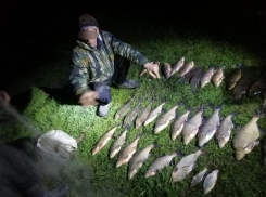 В Волгодонском районе браконьер полностью перегородил сетью протоку Дона 